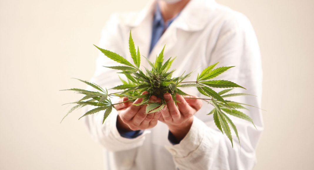 Medicinal Marijuana – Where Would One Look for a Physician?